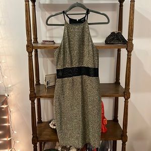 Shimmery gold fitting dress. Loved wearing in my early 20s! Mesh mid torso